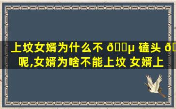 上坟女婿为什么不 🌵 磕头 🐱 呢,女婿为啥不能上坟 女婿上坟对谁不好